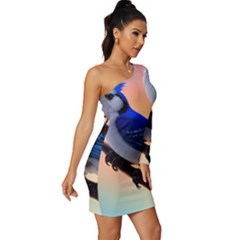 Long Sleeve One Shoulder Mini Dress 