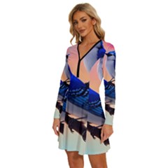 Long Sleeve Deep V Mini Dress  