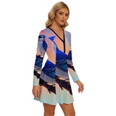 Long Sleeve Deep V Mini Dress  