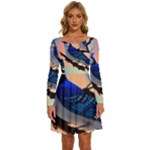 Bluebird Long Sleeve Wide Neck Velvet Dress
