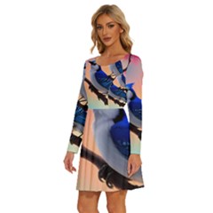Long Sleeve Wide Neck Velvet Dress 