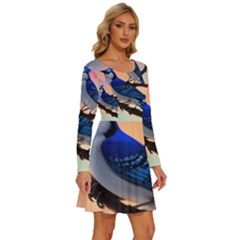 Long Sleeve Wide Neck Velvet Dress 