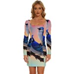 Bluebird Long Sleeve Square Neck Bodycon Velvet Dress