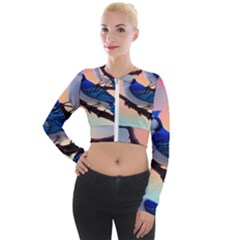 Long Sleeve Cropped Velvet Jacket 