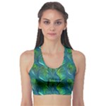 Feathered Fitness Sports Bra