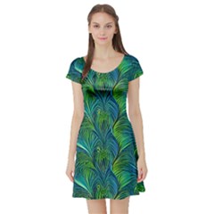 Short Sleeve Skater Dress Front Short Sleeve Skater Dress Front