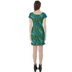 Short Sleeve Skater Dress Back Short Sleeve Skater Dress Back