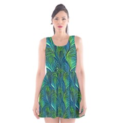 Scoop Neck Skater Dress 