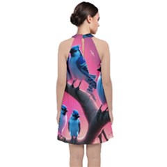 Velvet Halter Neckline Dress  