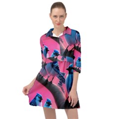 Mini Skater Shirt Dress 