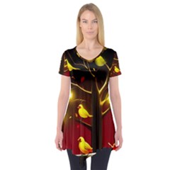 Short Sleeve Tunic  