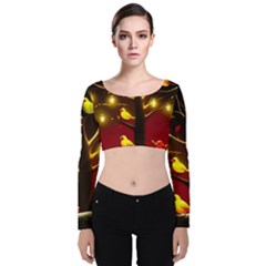 Velvet Long Sleeve Crop Top 