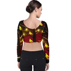 Velvet Long Sleeve Crop Top 