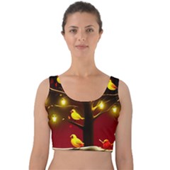 Velvet Crop Top 