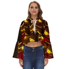 Boho Long Bell Sleeve Top 