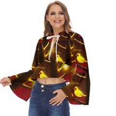 Boho Long Bell Sleeve Top 