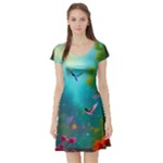 Through the Window Short Sleeve Skater Dress