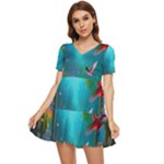 Through the Window Tiered Short Sleeve Babydoll Dress