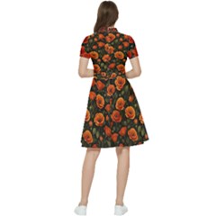 Short Sleeve Waist Detail Dress 