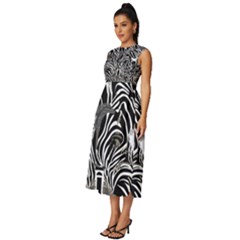 Sleeveless Round Neck Midi Dress 
