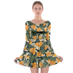 Long Sleeve Skater Dress 