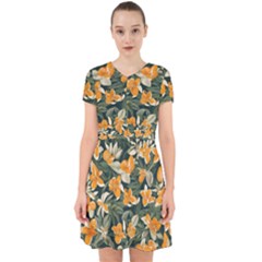 Adorable in Chiffon Dress 