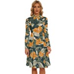 Neroli Blossom Long Sleeve Shirt Collar A-Line Dress