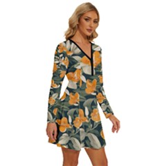 Long Sleeve Deep V Mini Dress  