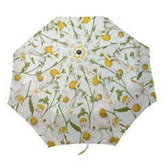 Folding Umbrella 