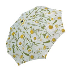 Folding Umbrella 