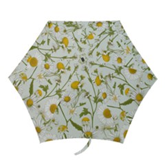 Mini Folding Umbrella 