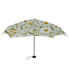 Mini Folding Umbrella 