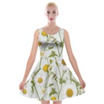 Sunflowers Velvet Skater Dress