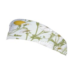 Stretchable Headband 