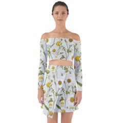 Off Shoulder Top with Skirt Set 