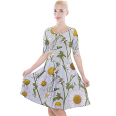 Quarter Sleeve A-Line Dress 