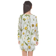 Long Sleeve Chiffon Shift Dress  