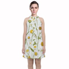 Velvet Halter Neckline Dress  