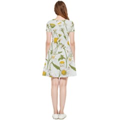 Inside Out Cap Sleeve Dress 