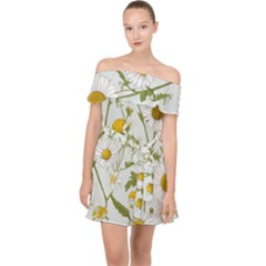 Off Shoulder Chiffon Dress 