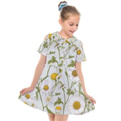 Kids  Short Sleeve Shirt Dress 