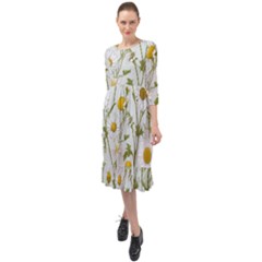 Ruffle End Midi Chiffon Dress 