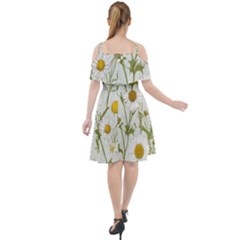 Cut Out Shoulders Dress 