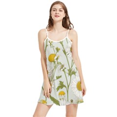 Summer Frill Dress 