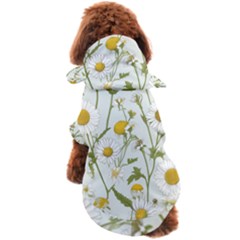 Dog Coat 
