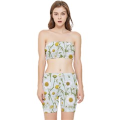 Stretch Shorts and Tube Top Set 