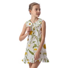 Kids  Pilgrim Collar Ruffle Hem Dress 