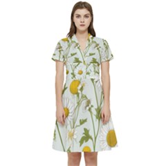 Short Sleeve Waist Detail Dress 