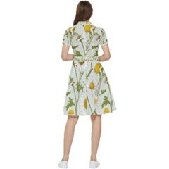 Short Sleeve Waist Detail Dress 