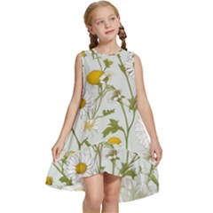 Kids  Frill Swing Dress 